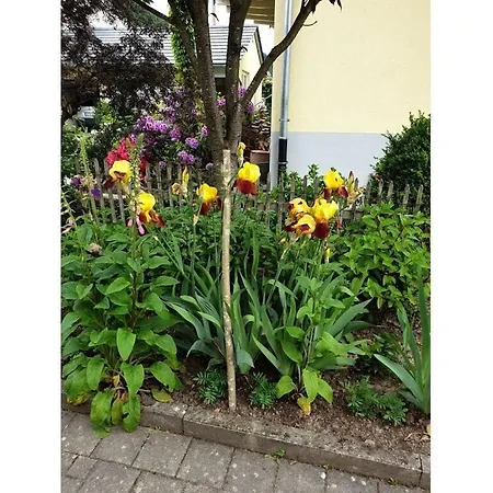 In The Rose Garden *